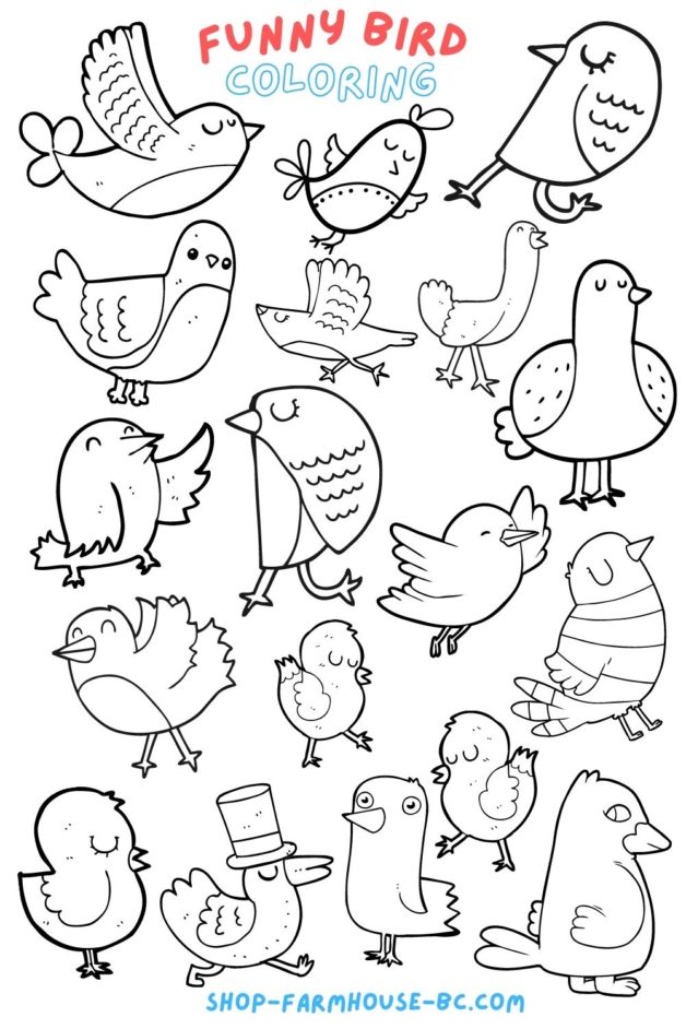 coloring page with funny birds