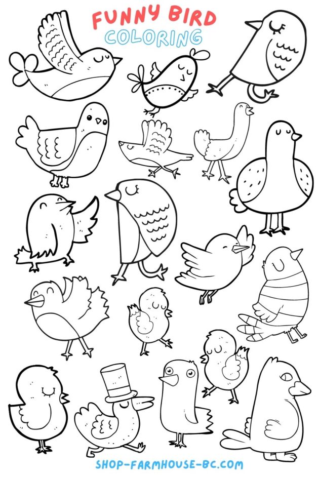 Free Funny Bird Coloring Page Farmhouse Bc Shop